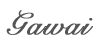 dubai web developer